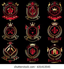 Escudo heráldico de armas con clase vectorial. Colección de blazones estilizadas en diseño vintage y creadas con elementos gráficos, coronas reales y banderas, estrellas, torres, armería, cruces religiosas.