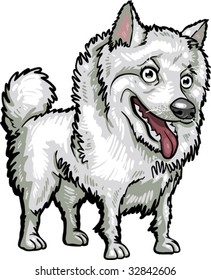 Vector, clip art, caricature illustration of American Eskimo dog. Hand drawn artwork in loose, expressive style with NO gradients or blends.