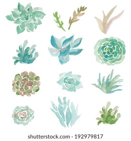 Vector Clip Art Collection of Watercolor Succulent Plants 