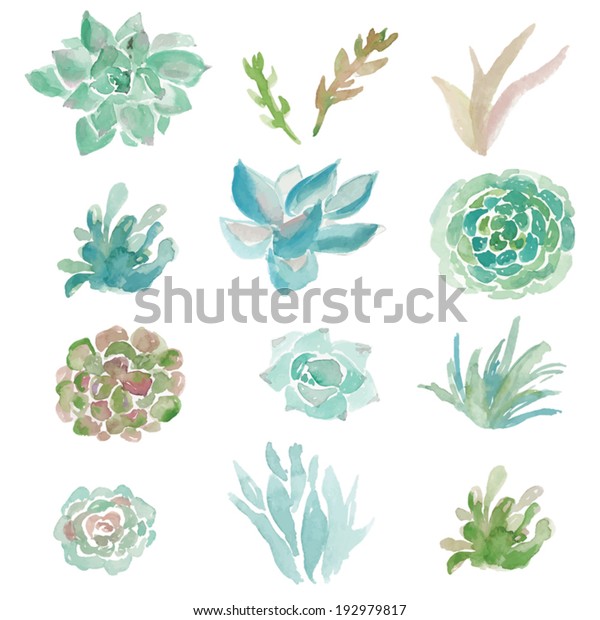 Vector Clip Art Collection Watercolor Succulent Stock Vector (Royalty ...