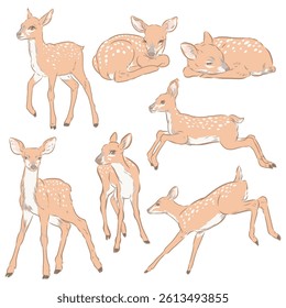 Vector clip art of fawn hand drawn digital painted.