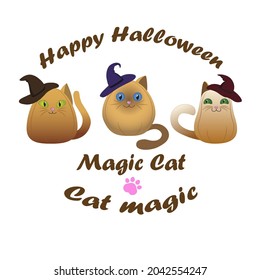 Vector clip art flat style stylized cats pumpkin helloween clipart postcard autumn poster cute magic cats
