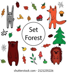 Vector clip art hand drawn forest animals and plants on a transparent background.