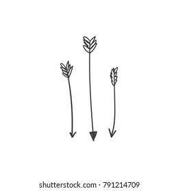 Vector, clip art. Hand drawn arrors. Decor elements, t-shirt, textile, print, card.