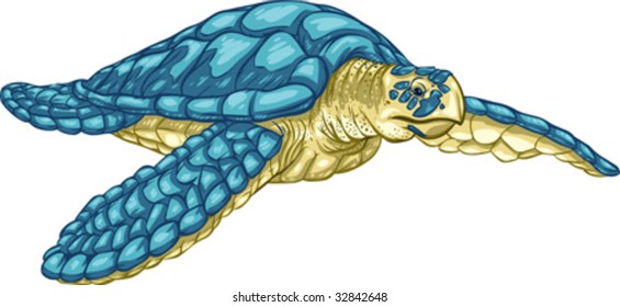 Vector clip art illustrations of Hawksbill sea turtle. Hand drawn artwork in loose, expressive style with NO gradients or blends.