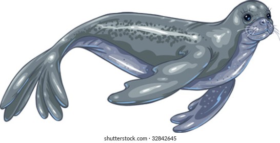 Vector clip art illustrations of Monachus seal. Hand drawn artwork in loose, expressive style with NO gradients or blends.