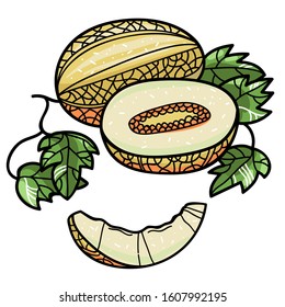 Vector clip art melon with leaves, whole and cut, half and slice