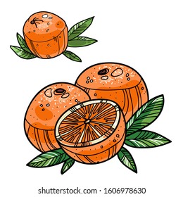 Vector clip art natural oranges with leaves, cut in half and whole. Arrangement for print, design and decoration.