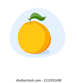 Vector clip art of orange.