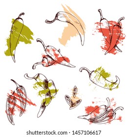 Vector clip art set of chili peppers. isolated Red vegetables on white background with brush stroke