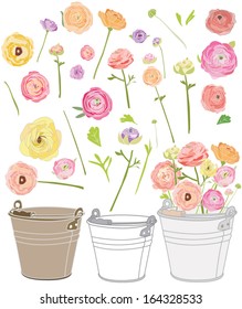 Vector Clip Art Set of Cute Ranunculus Flowers, Stems, Leaves, and Pails