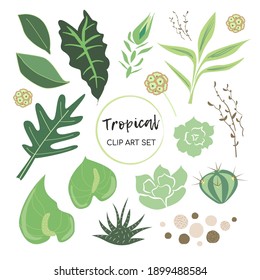 Pintura vectorial de plantas tropicales, hojas de palma, flores de anturio, suculentos, aloe y cactus.