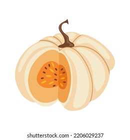 Vector clipart with a beautiful pumpkin. Pumpkin illustration.