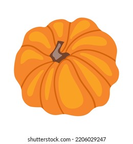 Vector clipart with a beautiful pumpkin. Pumpkin illustration.