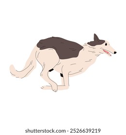 Vektorclipart eines Borzoi-Jagdhundes. Russische Wolfshund Rasse oder reinrassige Windhund Hund. Jagd Säugetier Pose für Zoologie Zeichen. Tier, das für ein kynologisches Poster steht. Hunde-Illustration. Inland