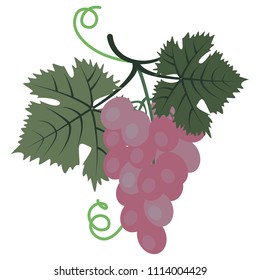 Vector clipart Bunch of Pink Grape. A hand-drawn image for insertion into a document, a website, a presentation, etc.