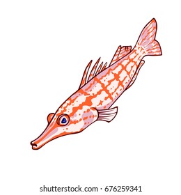 Vector clip-art with cartoon fish in bright colors