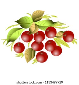 Vector clipart Cherry. A hand-drawn image for insertion into a document, a website, a presentation, etc.
