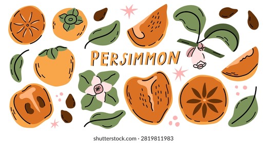 Vector clipart collection of orange persimmon fruits, slices, seeds, flowering branch, and stars with lettering isolated on white background for food recipes and menu design.