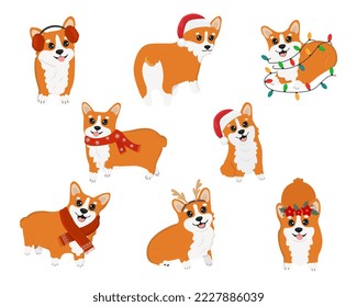 Vector clipart with cute Christmas corgi. Collection of winter dog characters. Illustration for design, decor, print, stickers, posters. Vector illustration isolated on a white background.