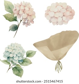 Vector, clipart, cute hydrangea, paper wrapping, wrapped Bouquet, with bow, festive flowers, Watercolor illustration, Greeting cards, invitation, party, baby shower, birthday, event, holiday, wedding