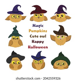 Vector clipart cute pumpkin owls set flat style halloween decoration