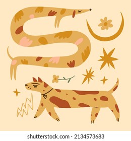 Vector clipart dog set dachshund stickers. Dogs breed. EPS and JPG illustration. Funky doodle trendy print, colorful handdrawn childish cartoon art. Groovy fauve abstract collage decor elements in