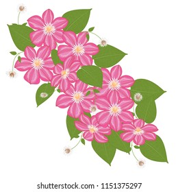 Vector clipart Flower Clematis. A hand-drawn image for insertion into a document, a website, a presentation, etc.