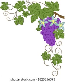 Vektorclip-Kunstgräber mit violettem Traubenstrauß und blauen Blumen. Dekorativer floraler Rahmen von kletternder essbarer Pflanze auf weißem Hintergrund mit Kopienraum