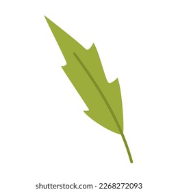 Vector clipart with green pointed leaf in flat design. Leaf of plant in green color. Foliage. Spring botanical illustration.