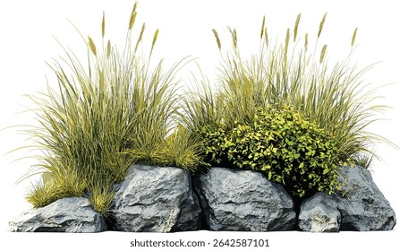 Vector clipart of long grass, Rocks and grass field, Nature landscape, Rural outdoor scenery, Grass and rock formations, Natural environment, Rocky field, Grass in nature