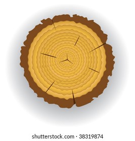 vector clip-art of an old wooden cut of a tree log
