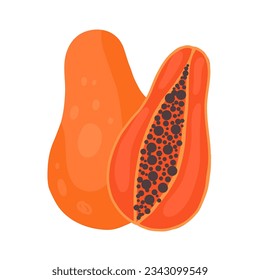 Vector clipart papaya on white background. Hand drawn flat fruit. Juicy tropical food. Illustration for stickers, menus and recipes