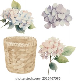 Vector, clipart, pink hydrangea, Bouquet, basket-pot, flower pot, festive flowers, Watercolor illustration, Greeting cards, invitation, party, baby shower, birthday, event, holiday, wedding card.