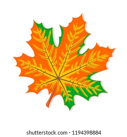 Vector clipart Red Maple Leaf. A hand-drawn image for insertion into a document, a website, a presentation, for desktop and just for the soul.