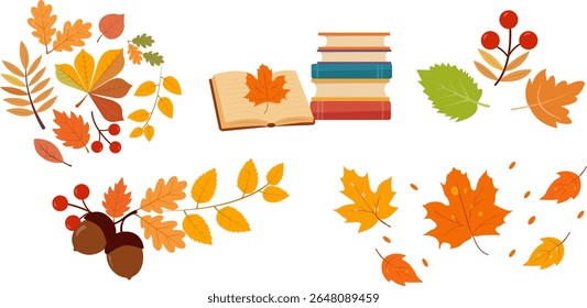 Clipart de vetor conjunto de folhas de outono, bagas, bolotas e livros em estilo plano. Elementos de design sazonais coloridos em fundo transparente. Parte da coleção de outono editável