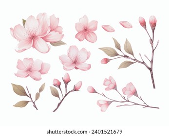 vector clipart set, sakura blossom