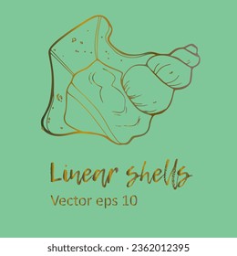 Vector clipart shells. Hand drawing. Natural seashell, conch and spiral on green background. Vector gold isolated icon for design, tattoo, print...