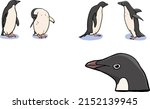 vector clipart transparent background penguins. Family of penguins. South Pole. Wild birds. Water birds. Without wings. EPS10 realistic icons