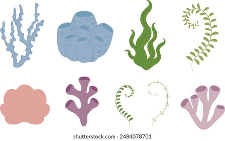 Vector clipart with tropical coral reefs and algae. Ocean  plants flora clip art