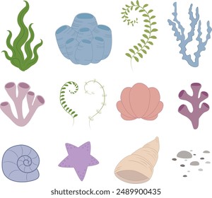 Vector clipart with tropical coral reefs and algae. Ocean  plants flora clip art