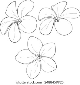 Vector clipart tropical flowers. Plume flower. Hand drawn element for packaging, label, logo, icon design. Symbol of lightness. Black circuit silhouette.