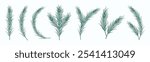 Vector clipart with various pine branches isolated on a light background. Subtle decoration set for greeting cards, invitations, winter designs, packaging, etc. 