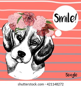 Vector close up portrait of beagle dog girl, wearing the flower wreath. Hand drawn domestic pet dog illustration. Isolated on Peach echo background with grey stripes.