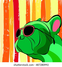 vector close up portrait of the domestic dog French Bulldog breed