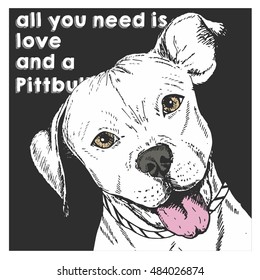 Vector close up portrait of english pit bull, isolated on black square background. All you need is love and a dog. Hand drawn domestic dog illustration. Sketched engraved funny illustration.