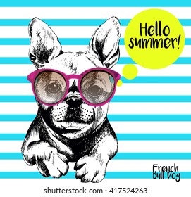 Vector close up portrait of french bulldog wearing the sunglasses. Bright hello summer french bulldog portrait. Hand drawn domestic pet dog illustration. Isolated on background with cerulean stripes.