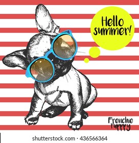 Vector close up portrait of french bulldog wearing the sunglasses. Bright hello summer french bulldog portrait. Hand drawn domestic pet dog illustration. Isolated on background with red stripes.