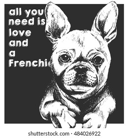 Vector close up portrait of french bulldog, isolated on black square background. All you need is love and a dog. Hand drawn domestic dog illustration. Sketched engraved funny illustration.