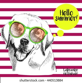 Vector close up portrait of labrador retriever wearing the sunglasses. Hello summer. Hand drawn  domestic dog illustration. Isolated on background with cherry strips.